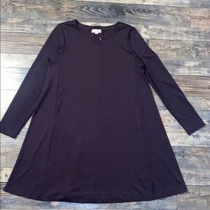 NWT Women’s Loft casual long sleeve Dress size large